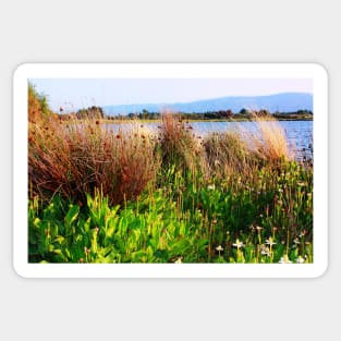 Wild Meadow by the Lake. Shoreline Park 2011 Sticker